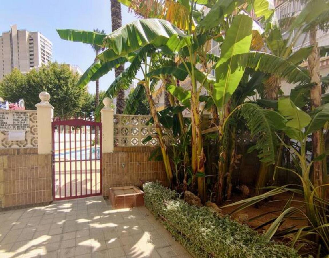 Benidorm Rocas One, Un Oasis A 100 Metros Del Mar Διαμέρισμα Εξωτερικό φωτογραφία